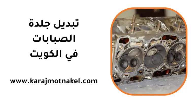 تغيير جلدة الصبابات